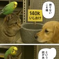 140Kいいねありがとうー　画像1 4枚目