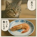 いぬとねこといんこ2 5枚目