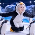 ペンギンふれあいコーナー 3枚目