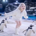ペンギンふれあいコーナー 4枚目