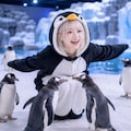 ペンギンふれあいコーナー 2枚目