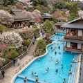 流水プールのある茶道空間 4枚目