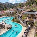 流水プールのある茶道空間 6枚目