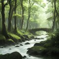 神秘の森 7枚目