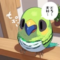 喋るインコ 5枚目