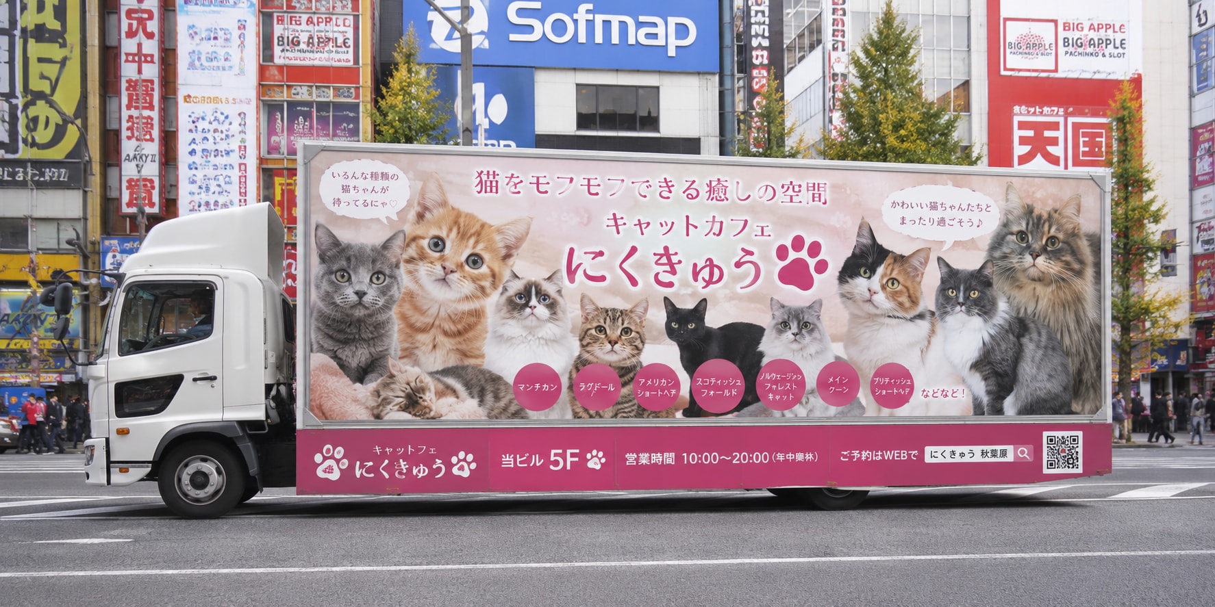 キャットカフェのアドトラ