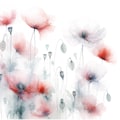 ひなげしの花 2枚目
