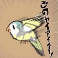 喋るインコの奇妙な冒険 4枚目
