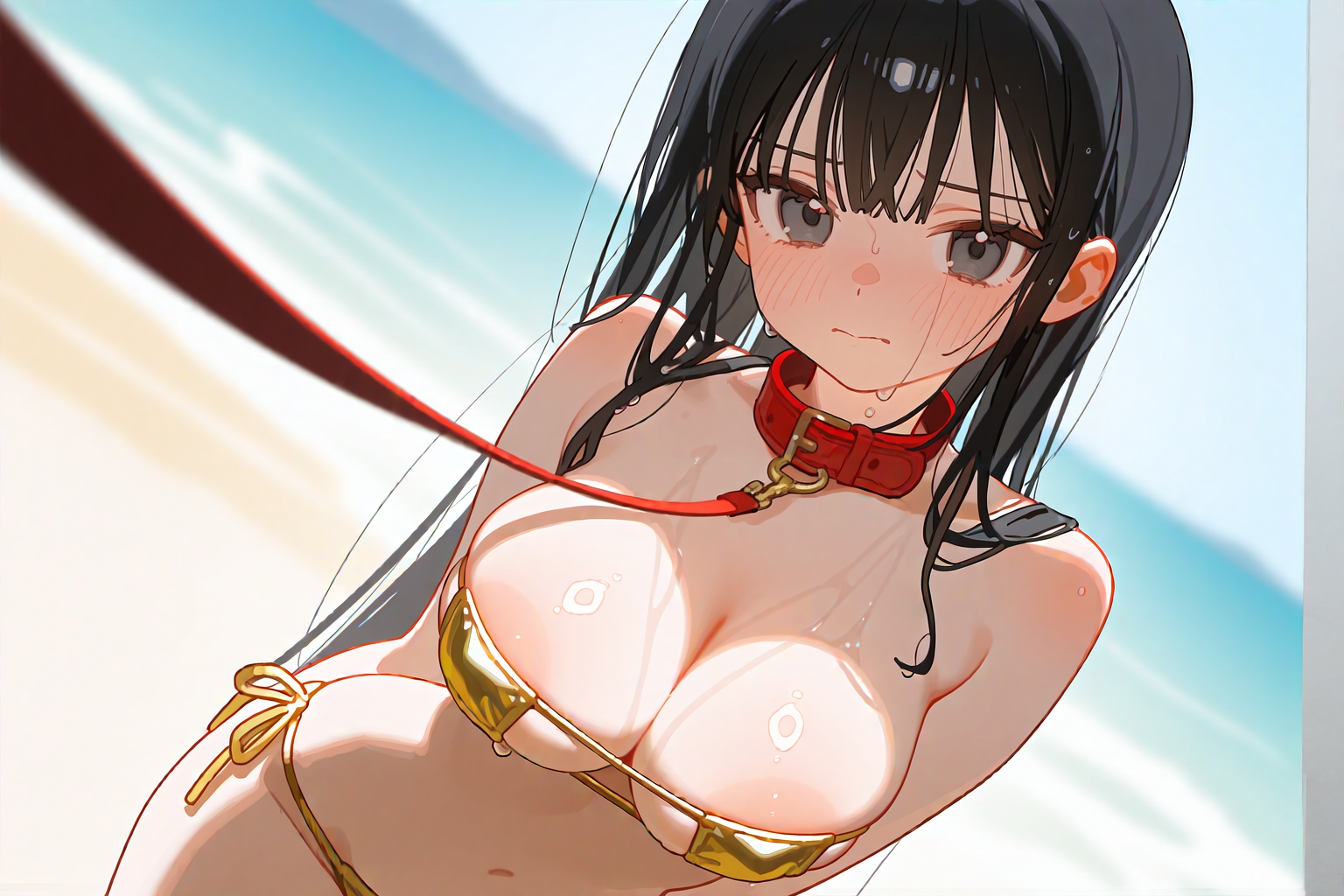 夏の大冒険