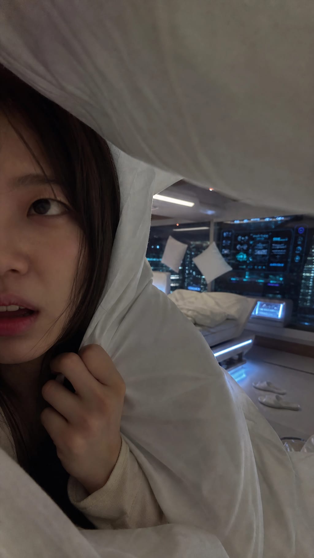 Blanket Fortress Against Tomorrow