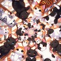 猫万華鏡３ 4枚目