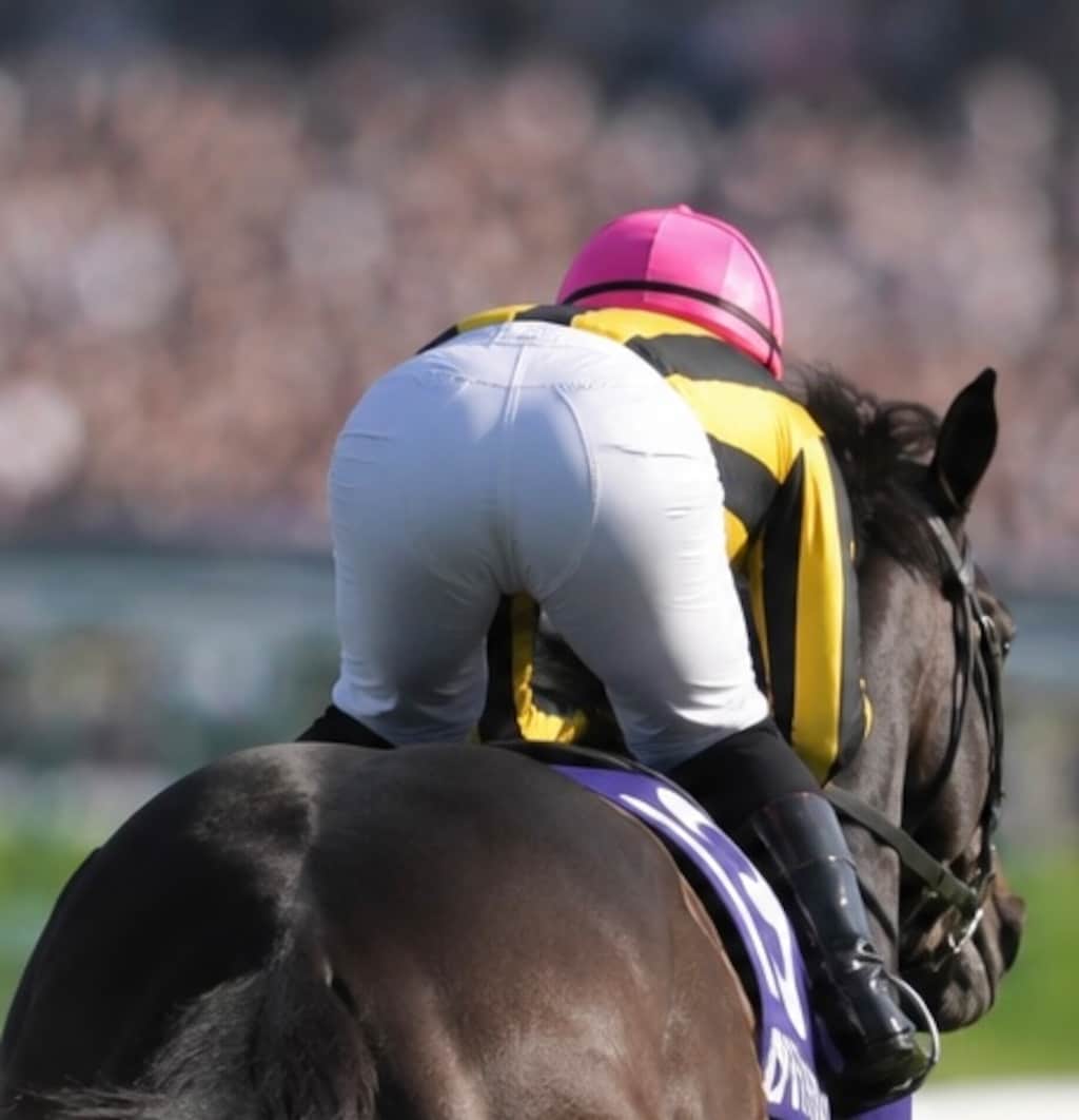 乗馬ズボン