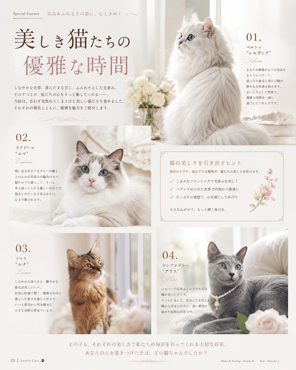 優雅な猫ちゃん特集