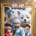 銀魂 3枚目