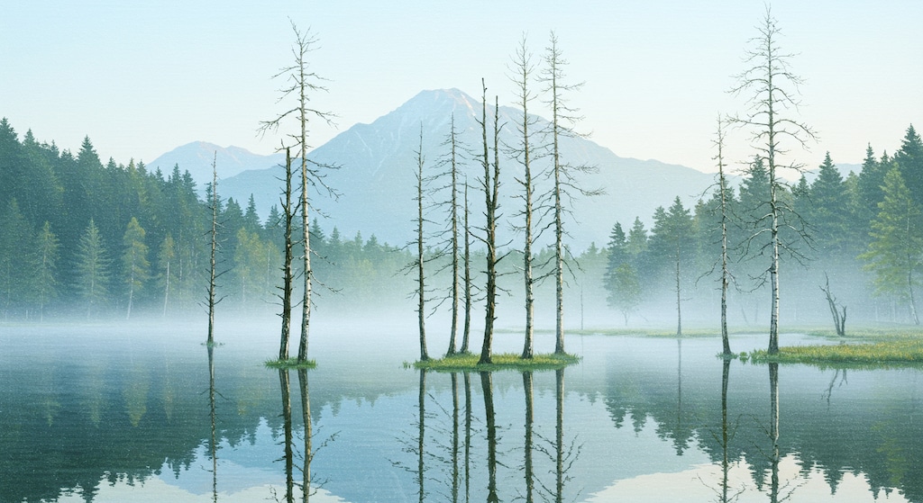 朝靄～なんやら池