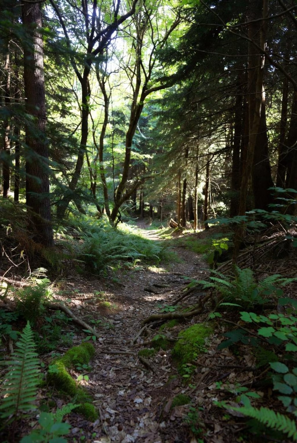 レストランの行き方