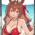 水着ウ再投稿 2枚目