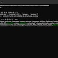 テキサス・ホールデム性癖ポーカー（2026/07/10） 2枚目