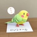 ペーパー喋るインコ 10枚目