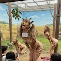 女の子動物園３ 6枚目