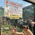 女の子動物園３ 8枚目