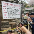 女の子動物園３ 5枚目
