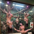 女の子動物園３ 9枚目