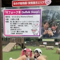 女の子動物園３ 7枚目