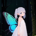 雨の森の妖精さん 10枚目