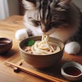 うどんを食べる猫 2枚目
