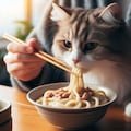 うどんを食べる猫 3枚目