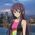 篠ノ之箒の競泳水着姿詰め合わせ　第２弾 3枚目