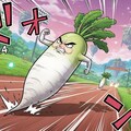大根RUN 4枚目