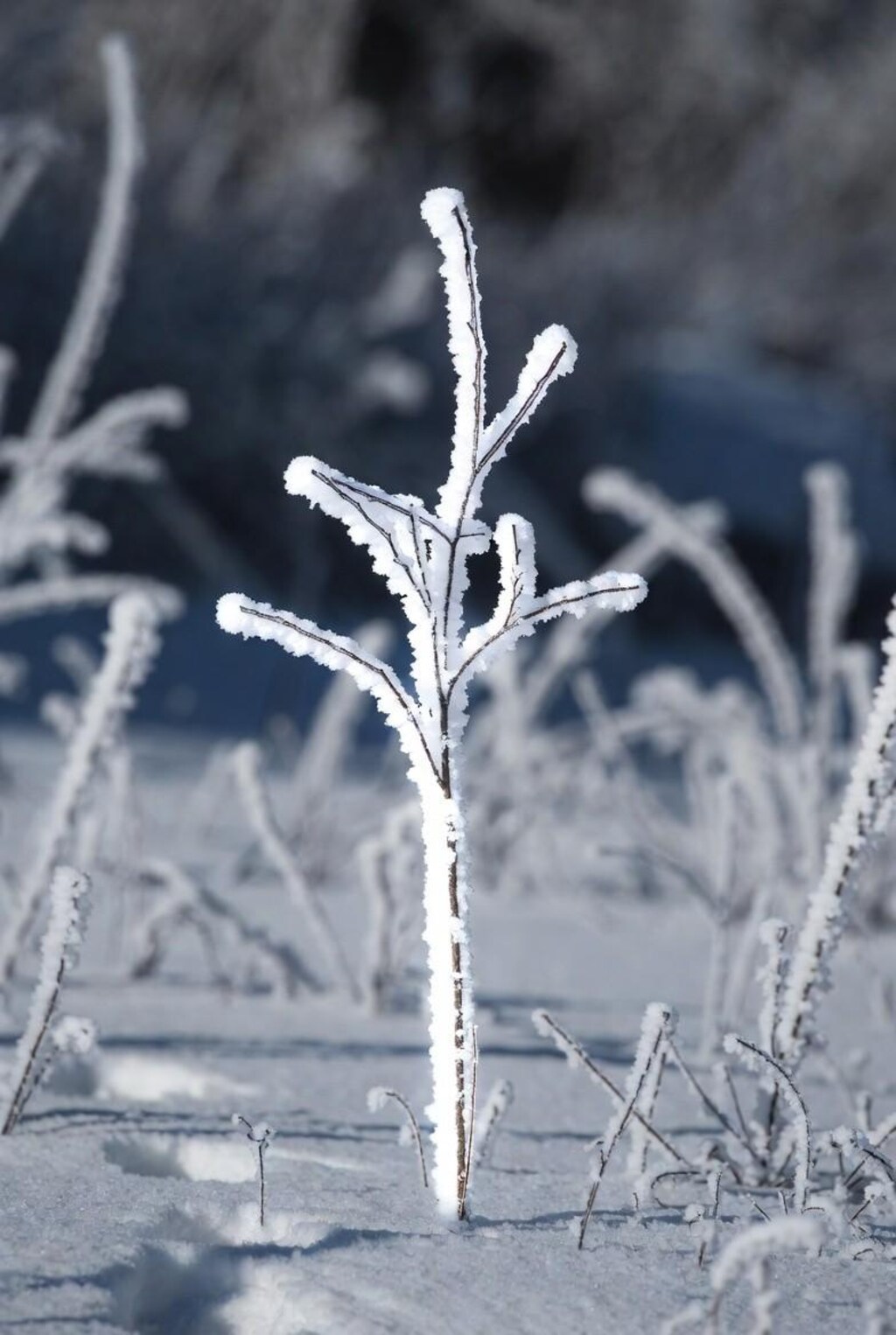 プロンプトは凍てついた火山灰や火山（ラストの一枚は凍てついた炎）