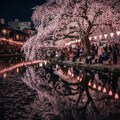 枝垂れ桜 7枚目