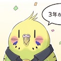 3周年おめでとうが中々言えないWhiskインコ 11枚目