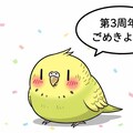 3周年おめでとうが中々言えないWhiskインコ 2枚目