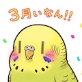 3周年おめでとうが中々言えないWhiskインコ 6枚目