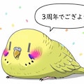3周年おめでとうが中々言えないWhiskインコ 3枚目