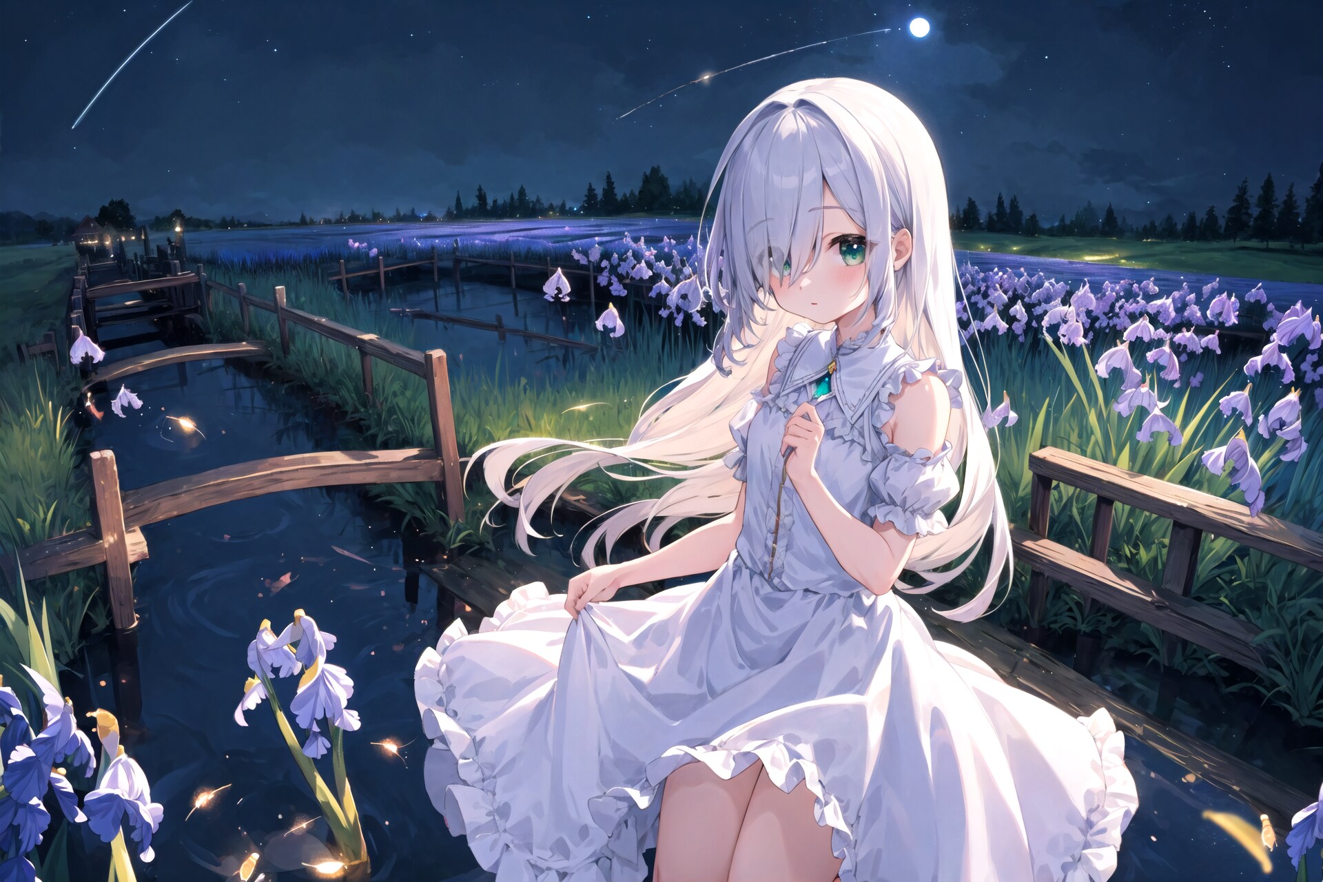 Nightlighted iris