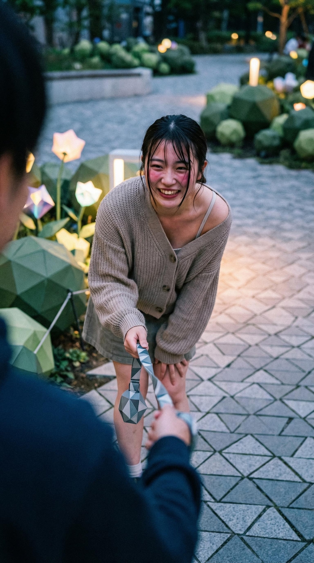 Stroll with the Geometric Companion