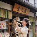 The Cat and the Confectioner 2枚目