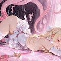 プリンセス 2529 5枚目