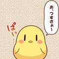 喋るひよこ 4枚目