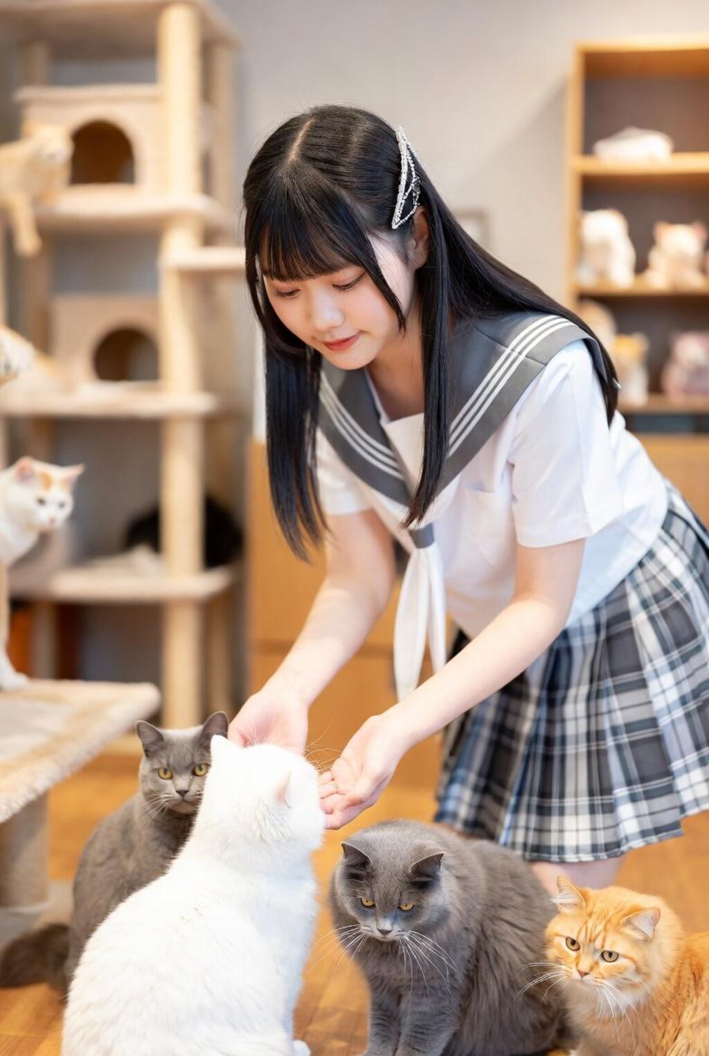 猫カフェ