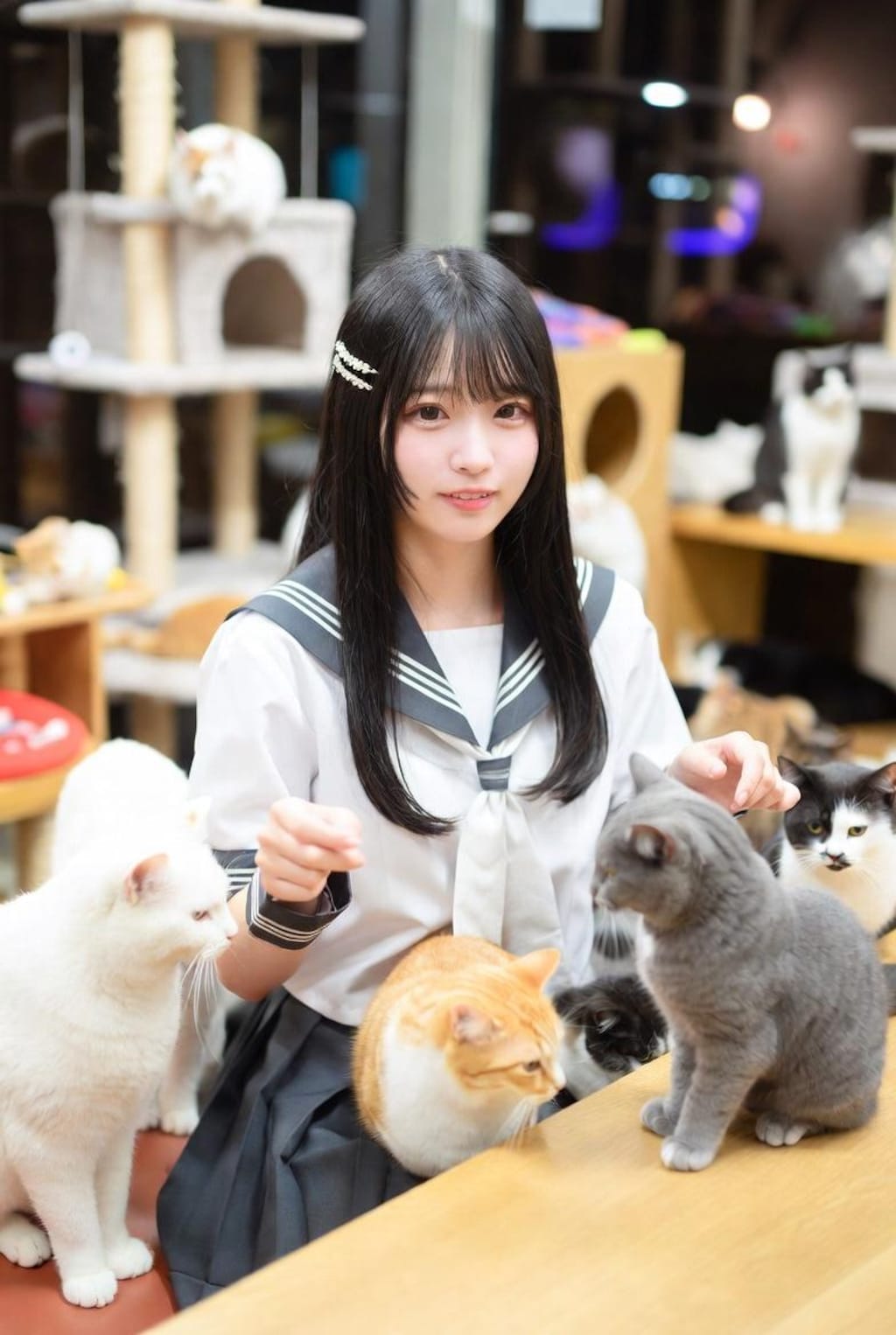 猫カフェ