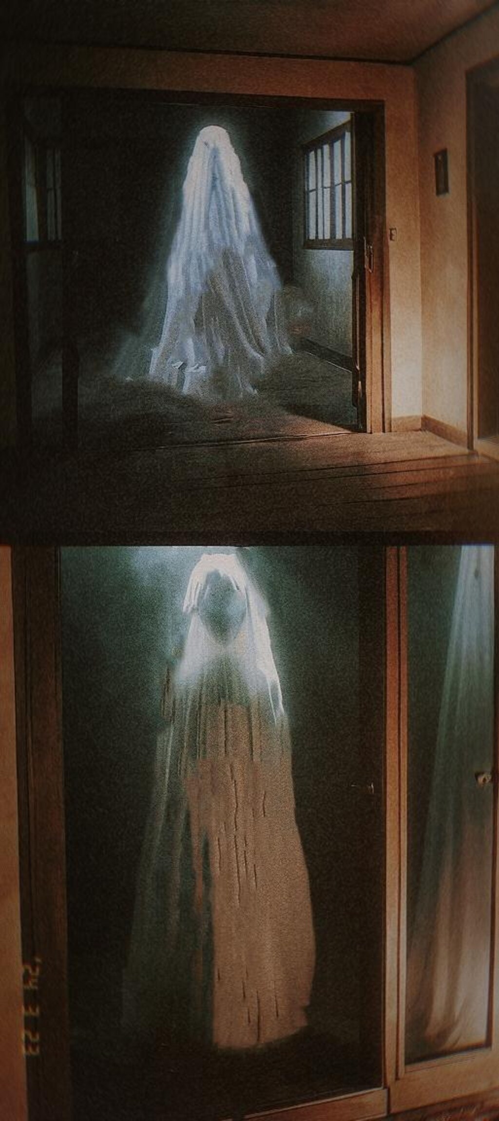 Quello bianco nella foto •••••