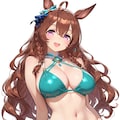 水着衣装　メジロブライト 2枚目