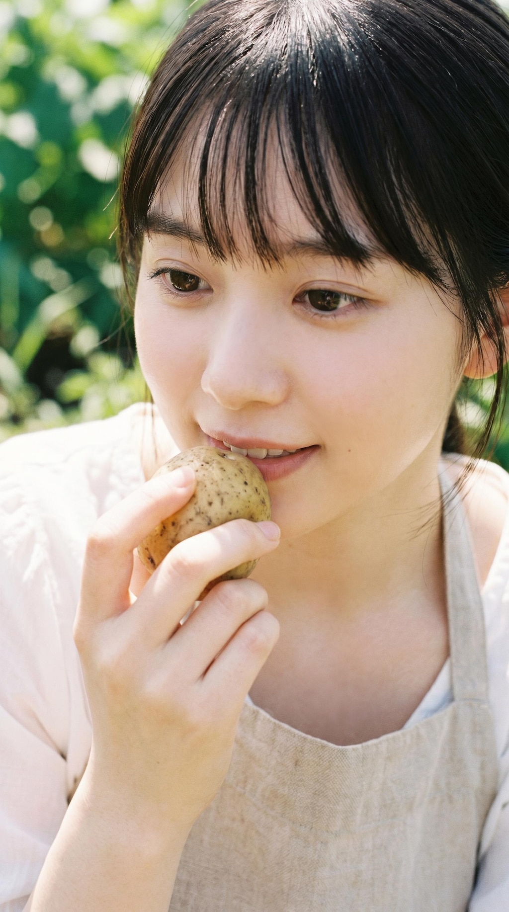 Harvest Smile