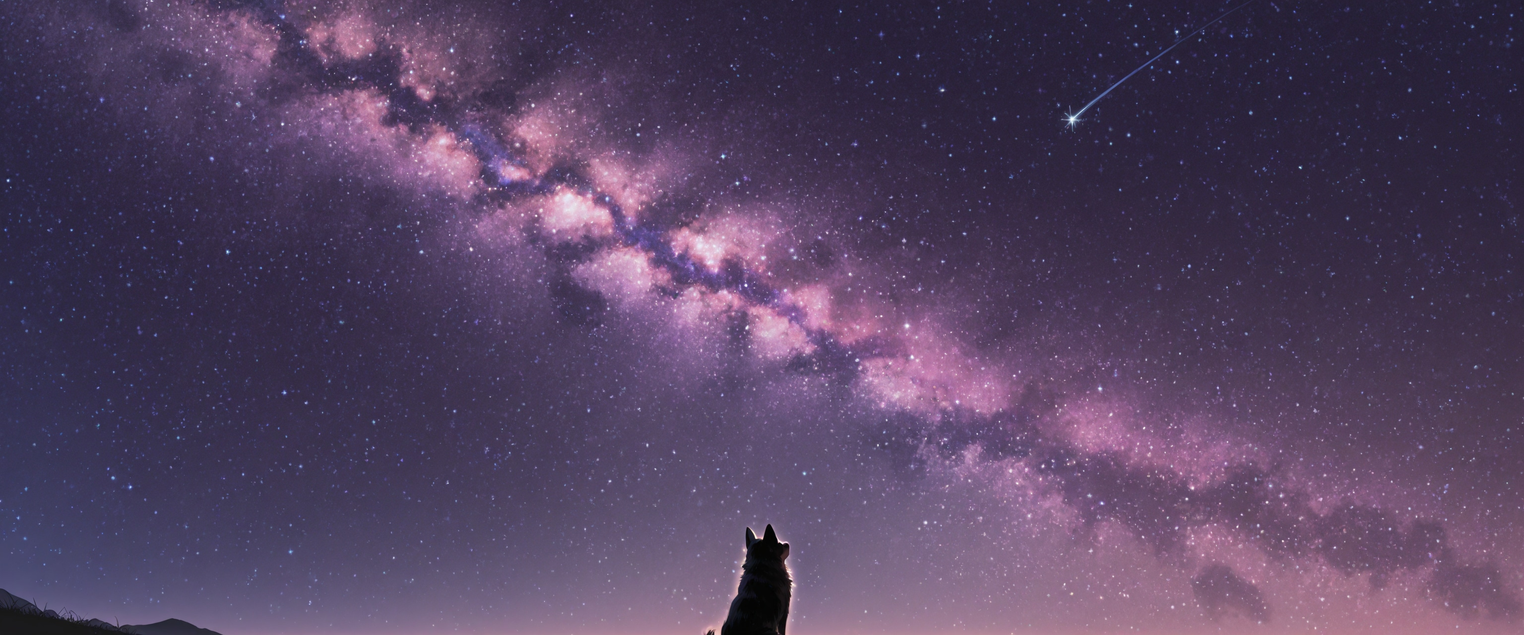 犬の星